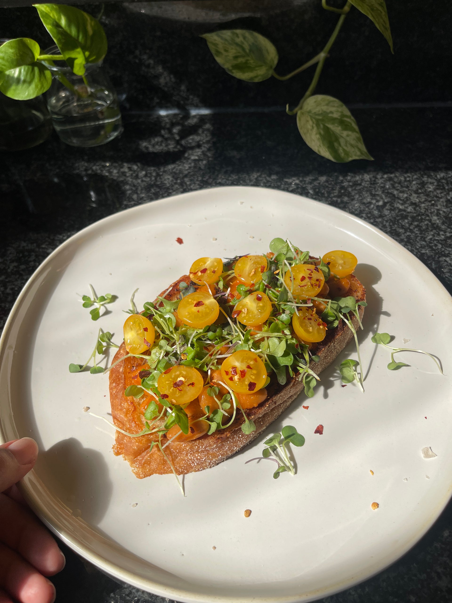 Tomato Alla Vodka Cannellini Bean Toast w/ Cherry Tomatoes